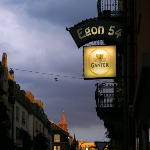 Egon54_cut